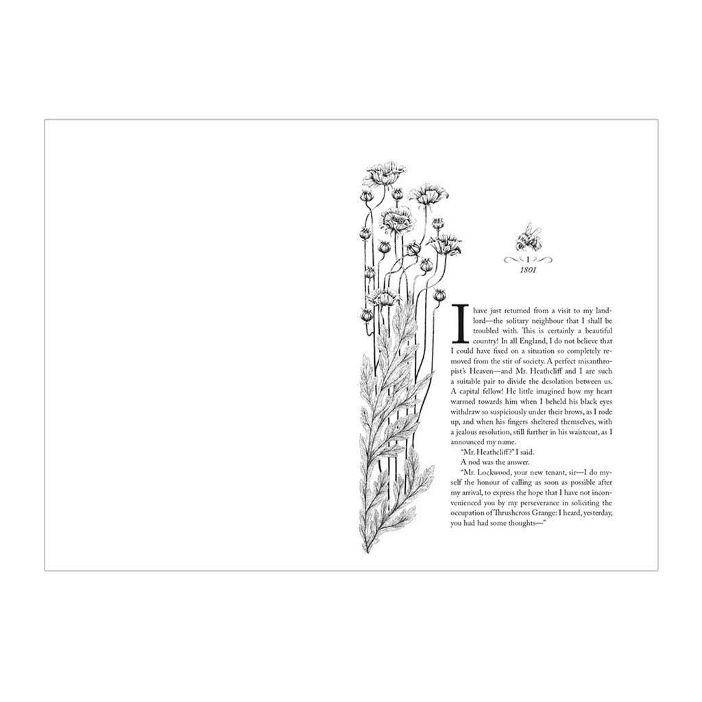 Emily Brontë - Wuthering Heights