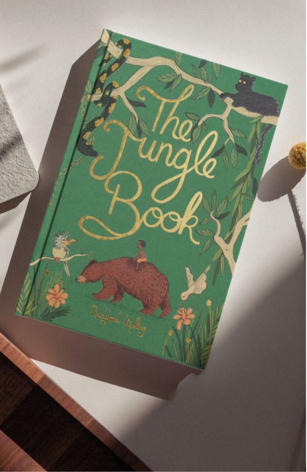 Wordsworth Collectors Edition - Jungle Book - Rudyard Kipling - Now only R219