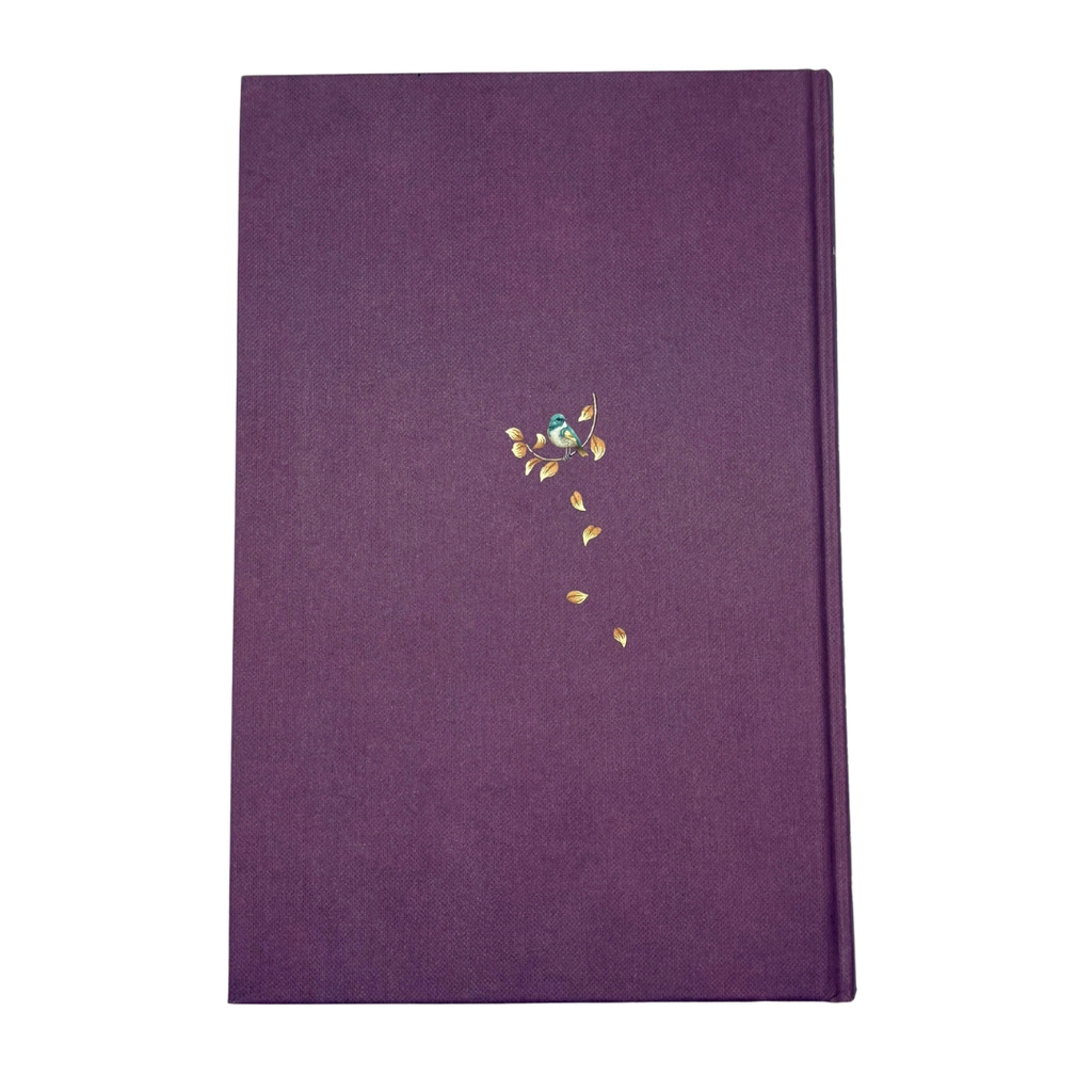 Louisa May Alcott - Little Women