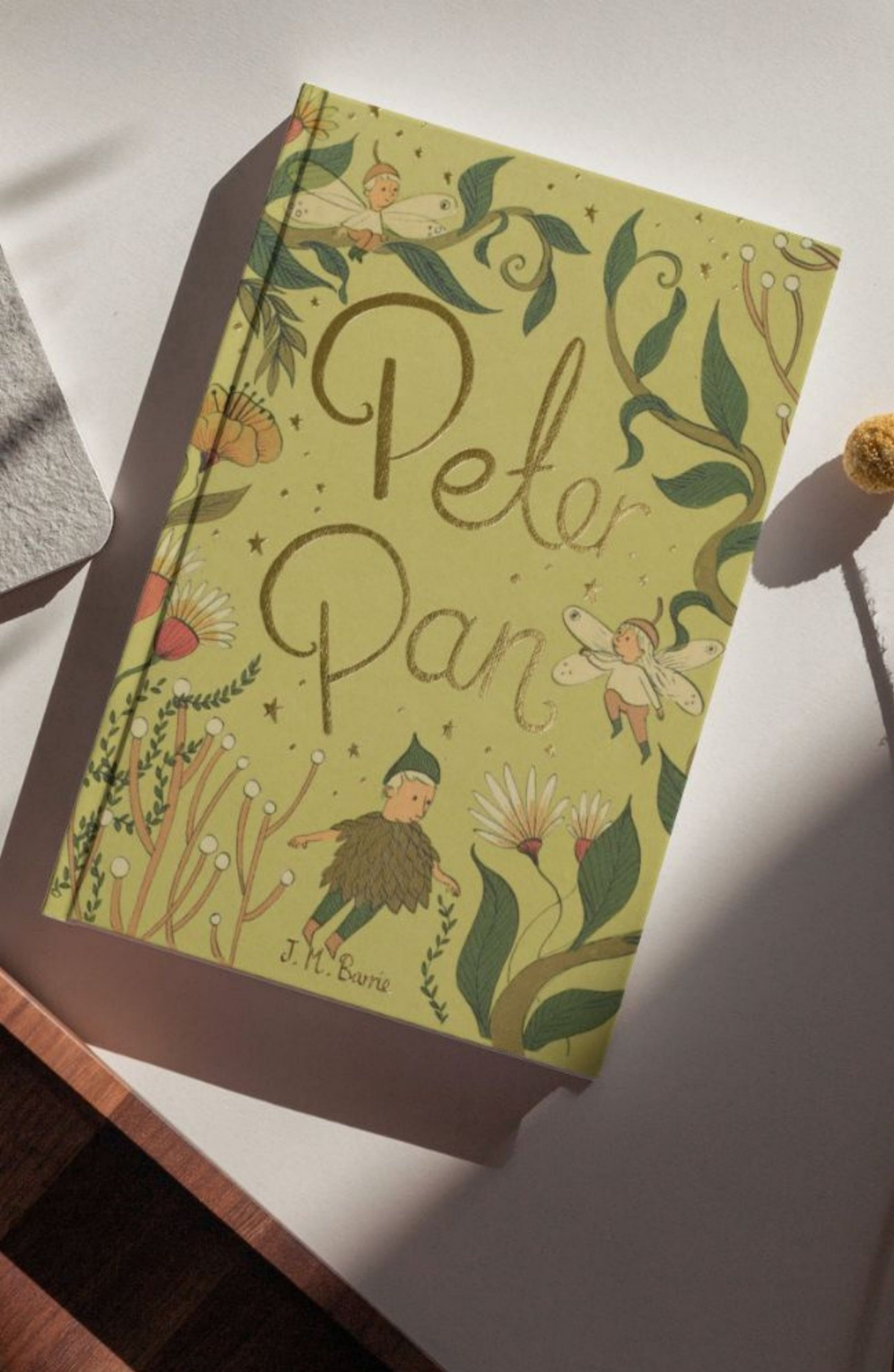 Wordsworth Collectors Edition - Peter Pan by J M Barrie