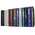 Wordsworth Collectors Set l Eleven Classic Novels with a Gothic Horror Theme